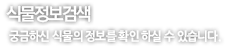 식물정보검색 궁금하신 식물의 정보를 확인 하실 수 있습니다.